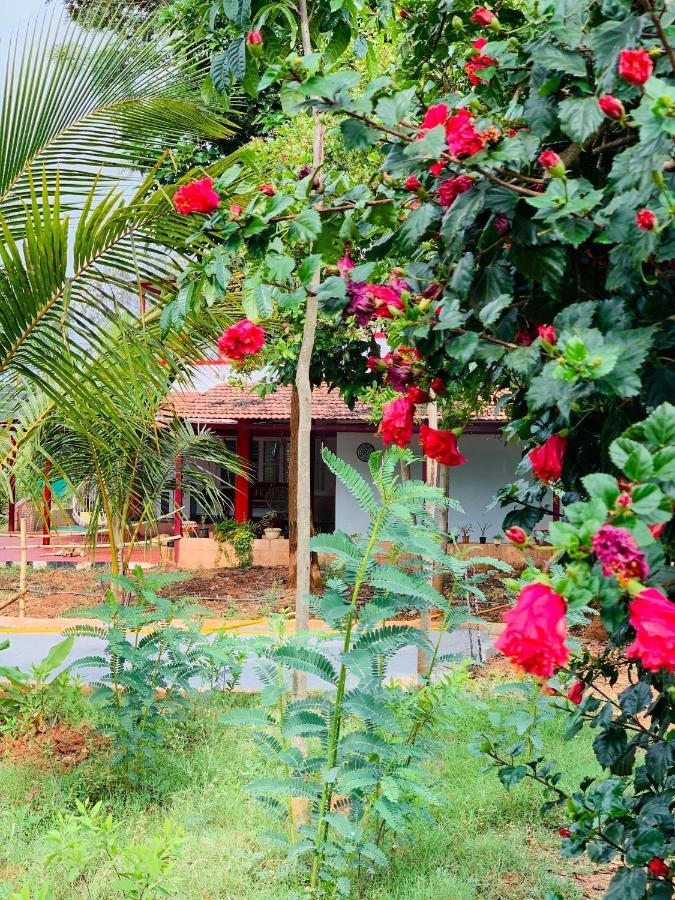 Villa Eco Farm Bangalore Exterior foto